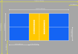 So sánh giữa thảm và sơn cho sân Pickleball